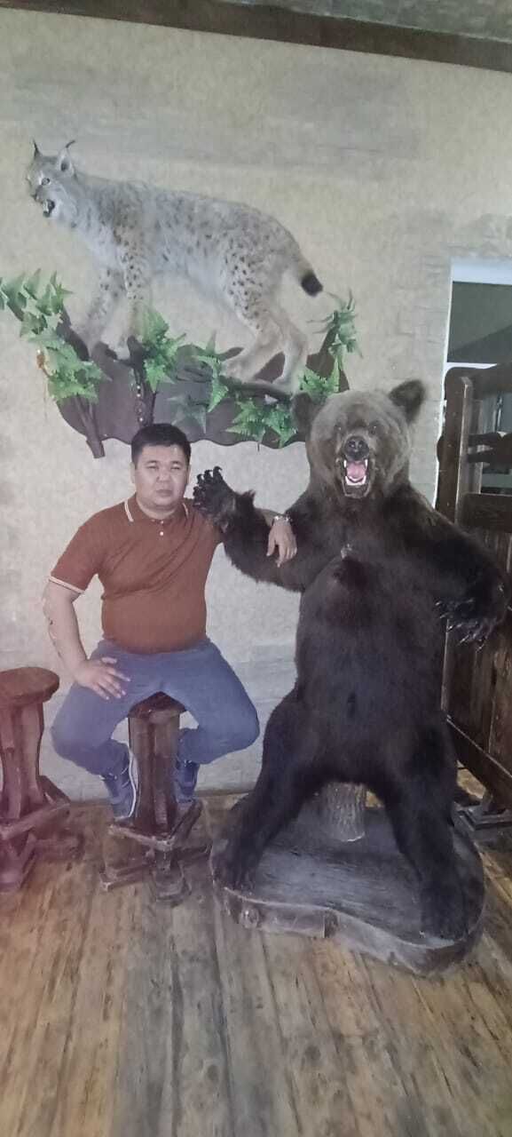 ���� 42704675 ������� �����, 33 ����, ���� ���������� � ���