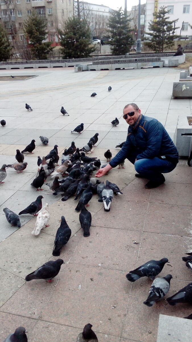 ���� 9376215 ������� ������, 46 ���, ���� ���������� � ����������