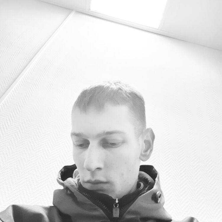  52965815  , 28 ,    
