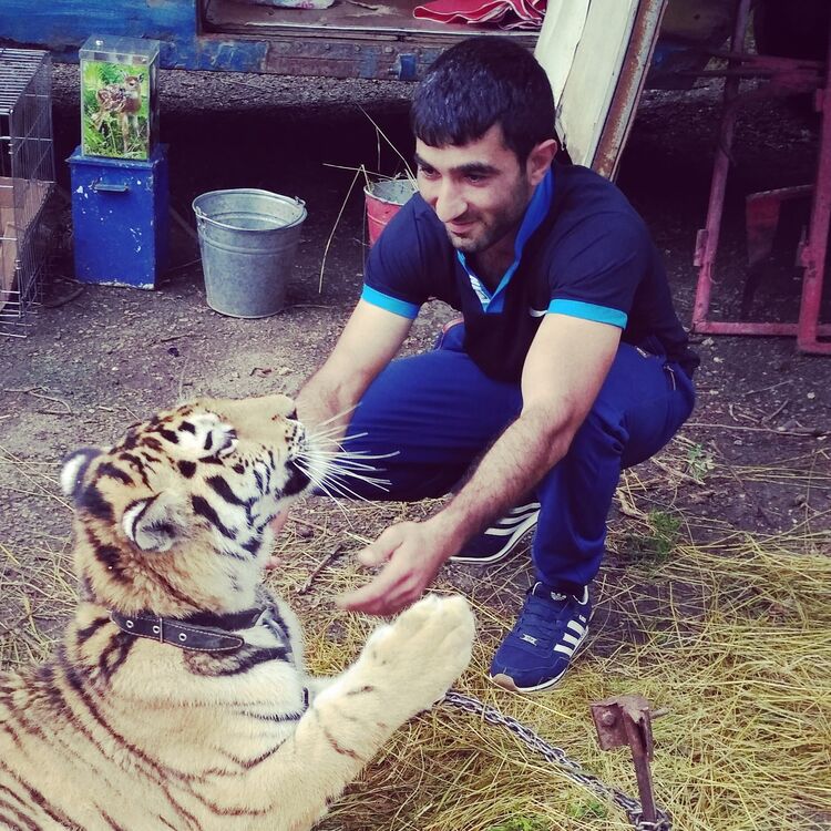 ���� 25870895 ������� Artyom, 35 ���, ���� ���������� � �������������