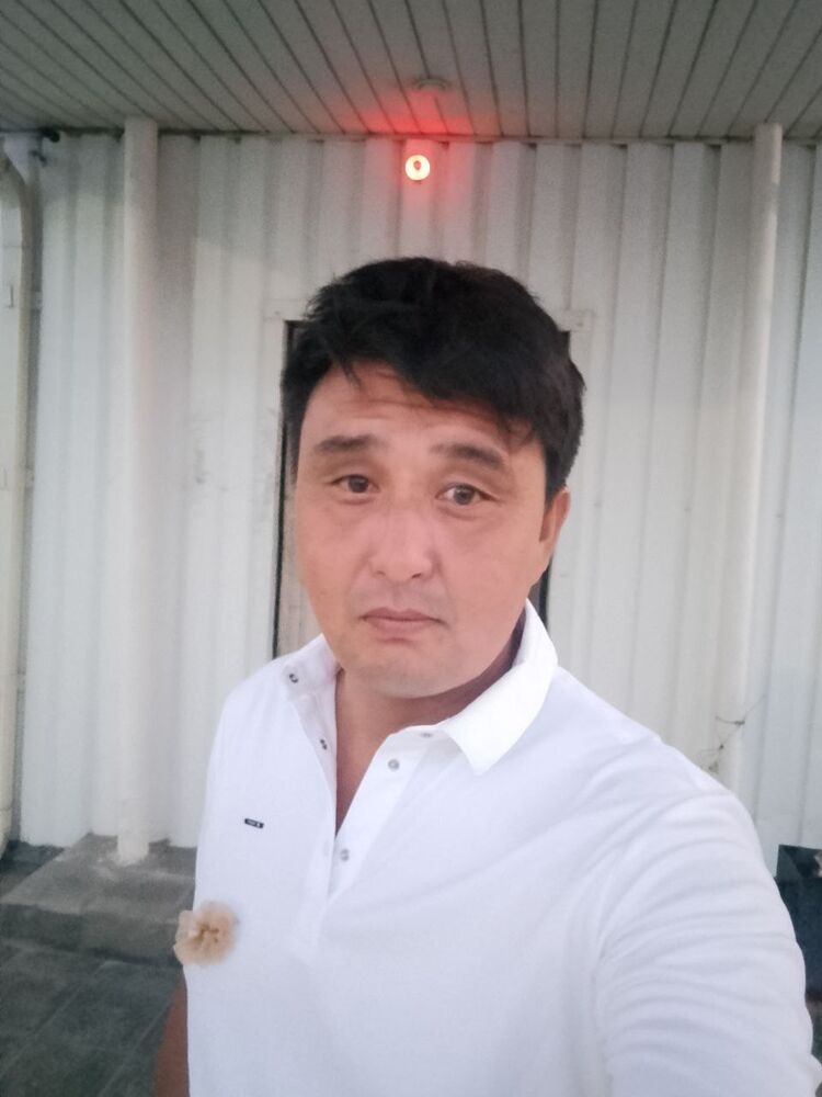  53510315  , 38 ,    