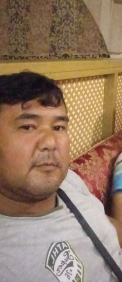  29535775  , 41 ,    -