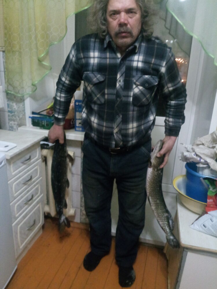  23886445  , 63 ,    