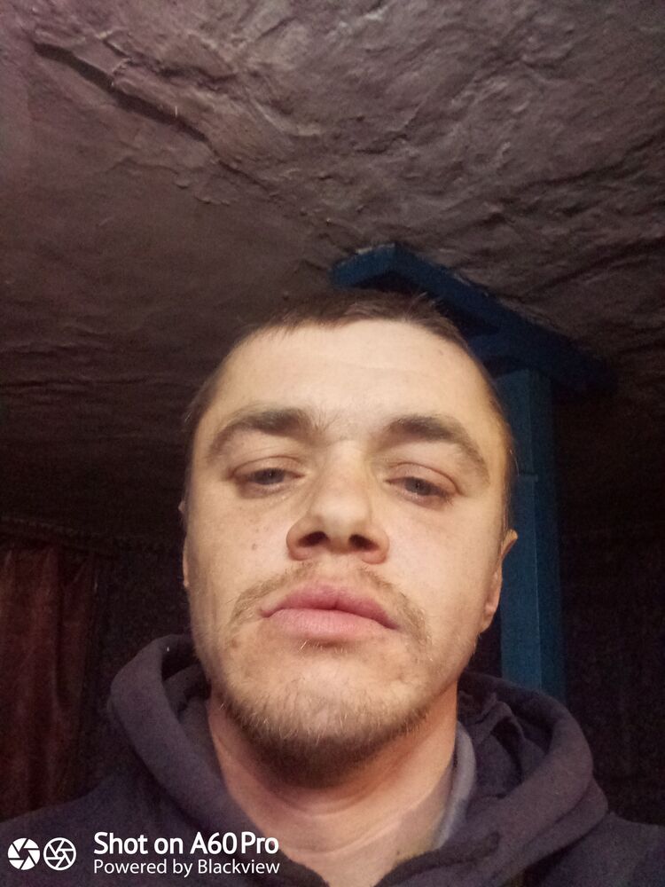  41688235  , 33 ,     