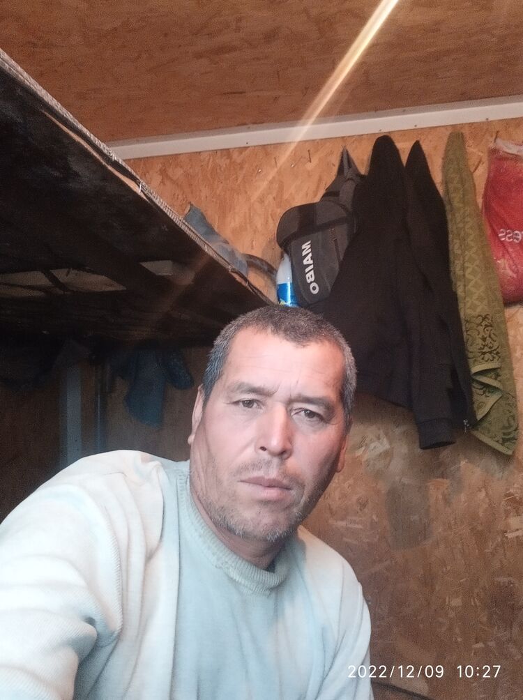  31159475  , 41 ,    