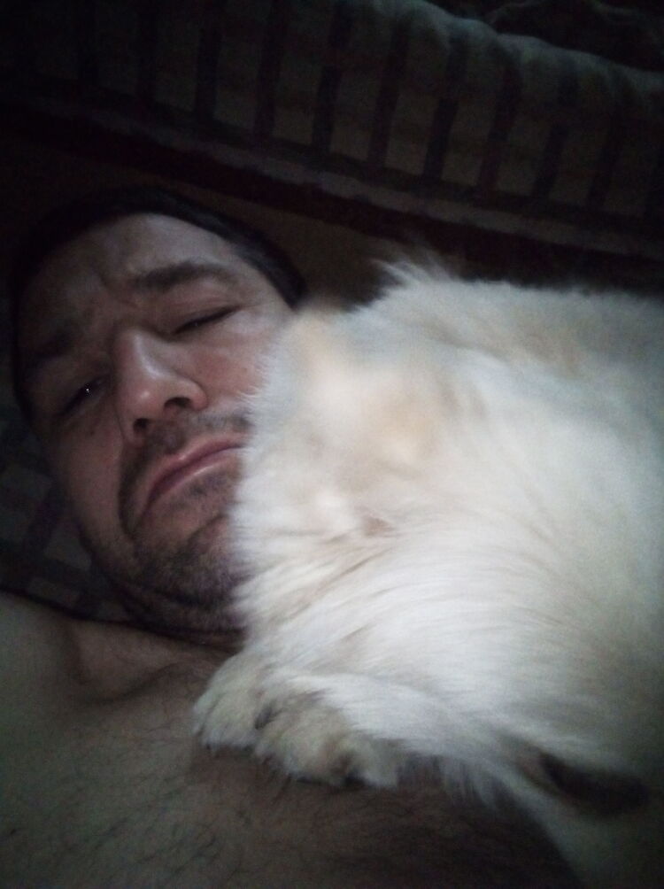 ���������� ������, ���� ������� ������, 43 ����, ������������ ��� ������, ����� � ���������