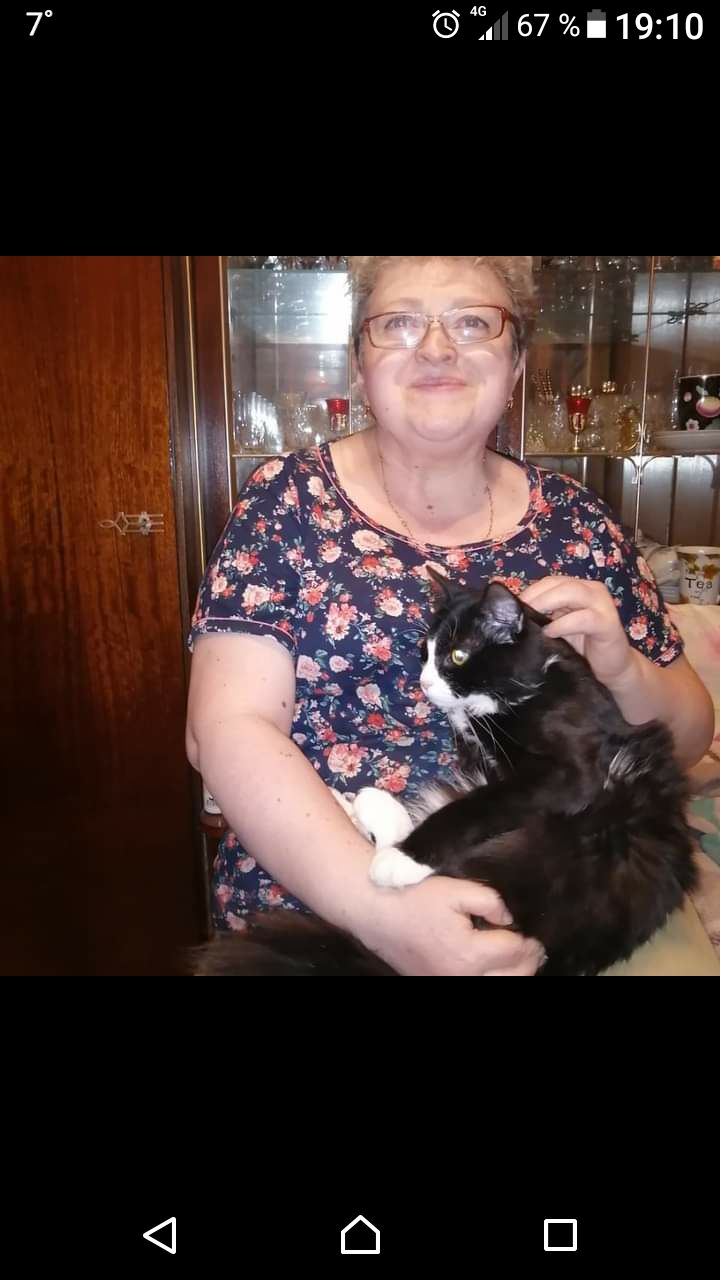 ���������� ������, ���� ������� ����, 66 ���, ������������ ��� ����� � ���������, c�������� ���������