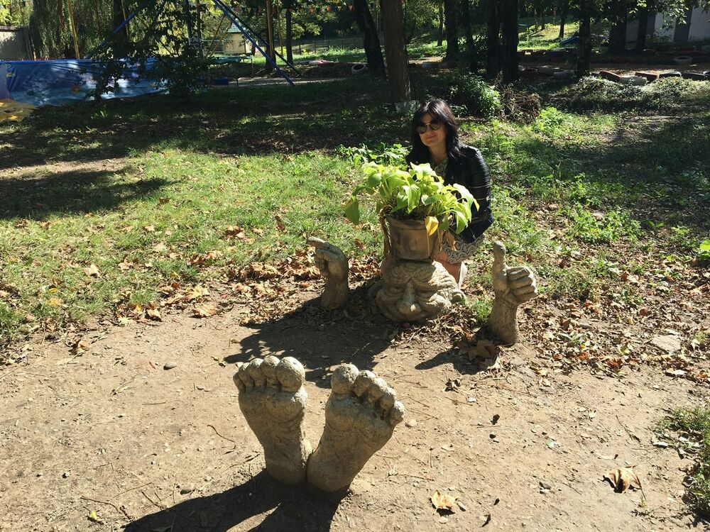  19230645  , 53 ,    --