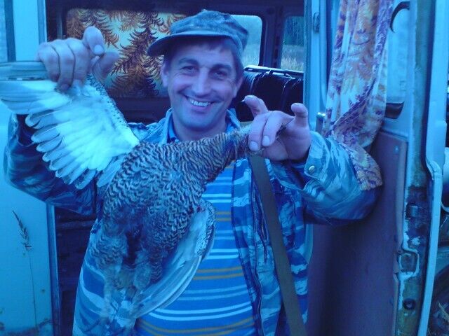 ���� 37094135 ������� ��������, 55 ���, ���� ���������� � ������