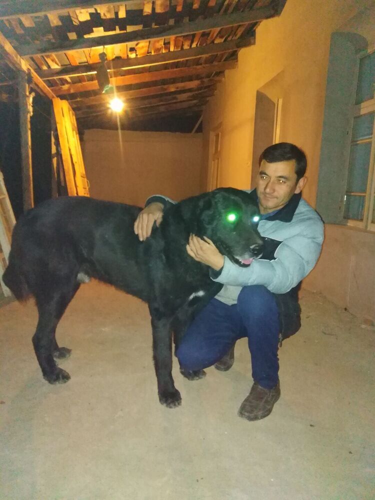 ���������� ������, ���� ������� ������, 42 ����, ������������ ��� ����� � ���������, ���������