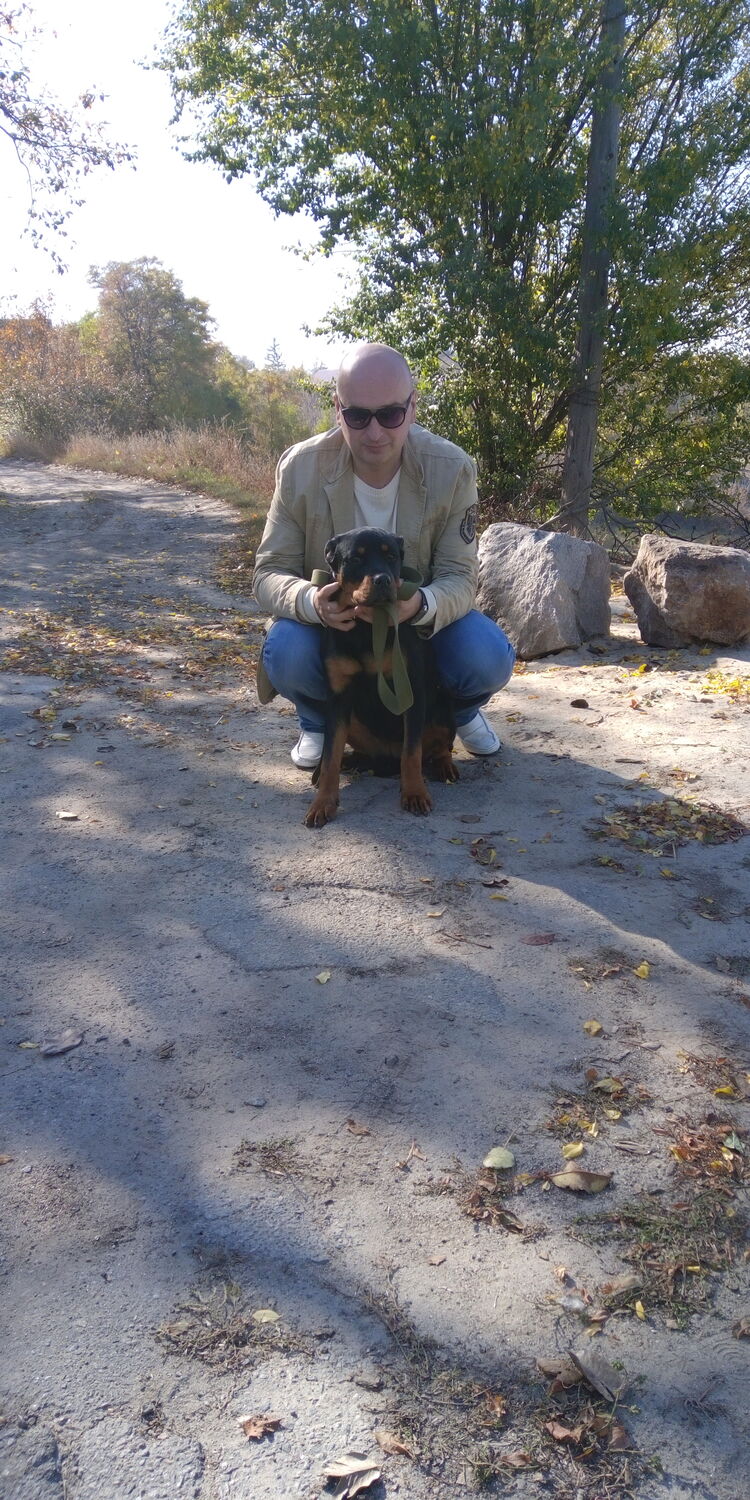 ���������� ����, ���� ������� �����, 39 ���, ������������ ��� ������, ����� � ���������, c�������� ���������