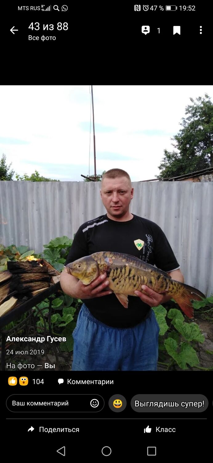  ,   , 43 ,   c 