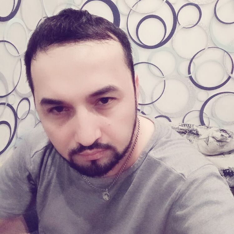  41044415  , 38 ,    