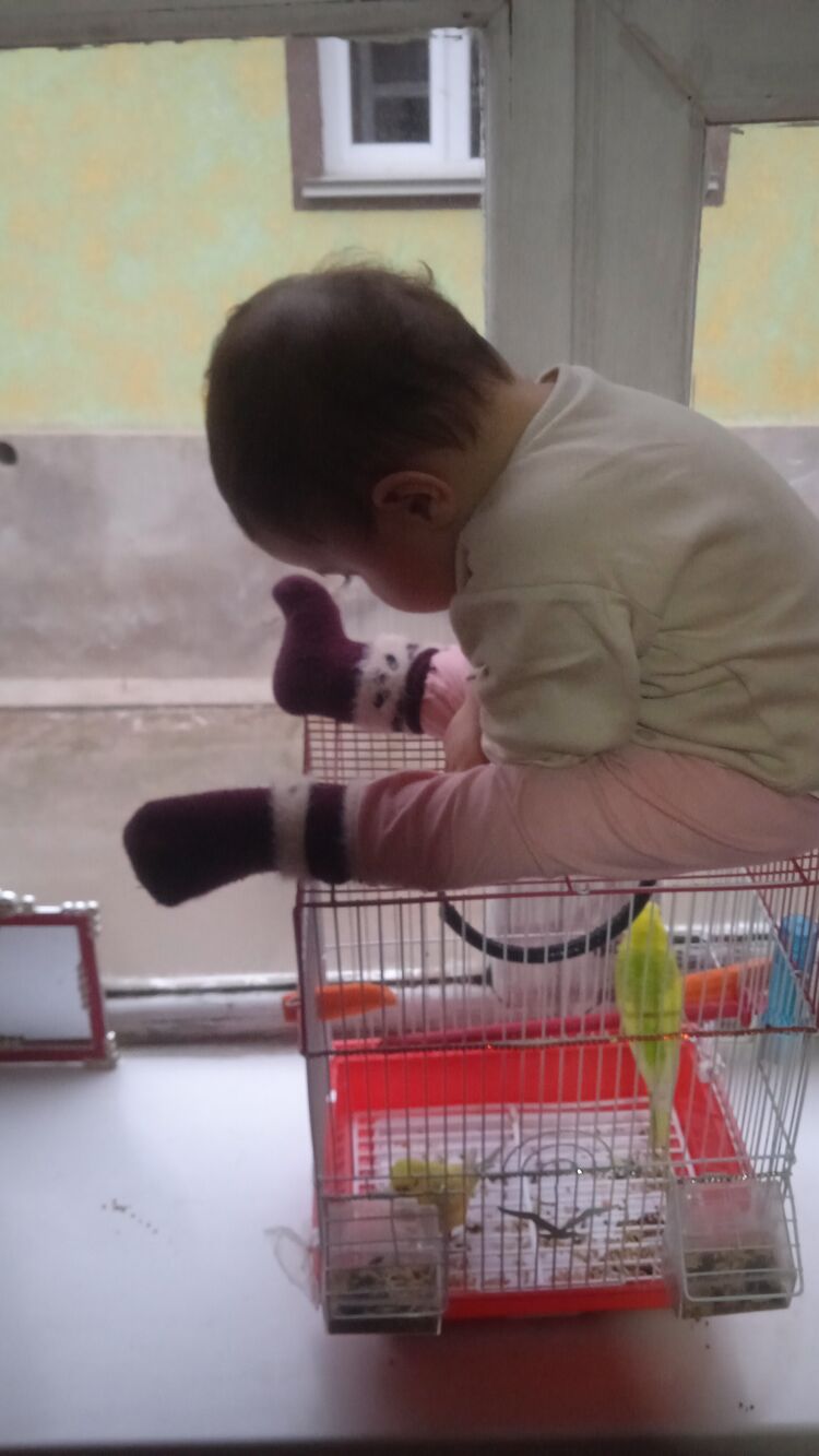 ���� 50240815 ������� ������, 26 ���, ���� ���������� � ����������