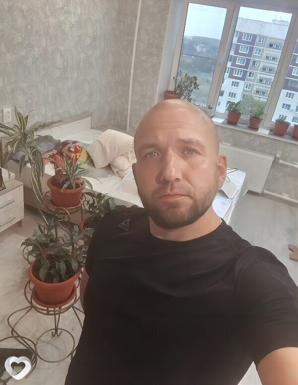 ���� 55603185 ������� ����, 36 ���, ���� ���������� � �������