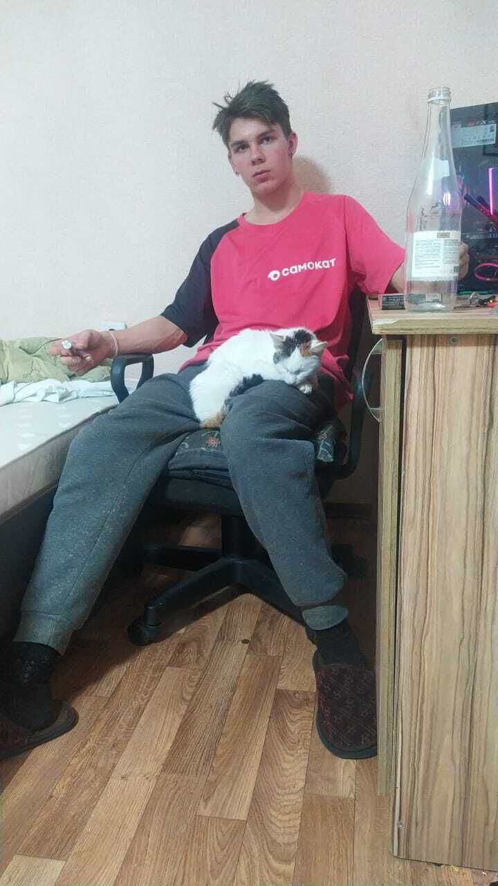 ���� 33051985 ����� ����, 22 ����, ���� ���������� � ����������