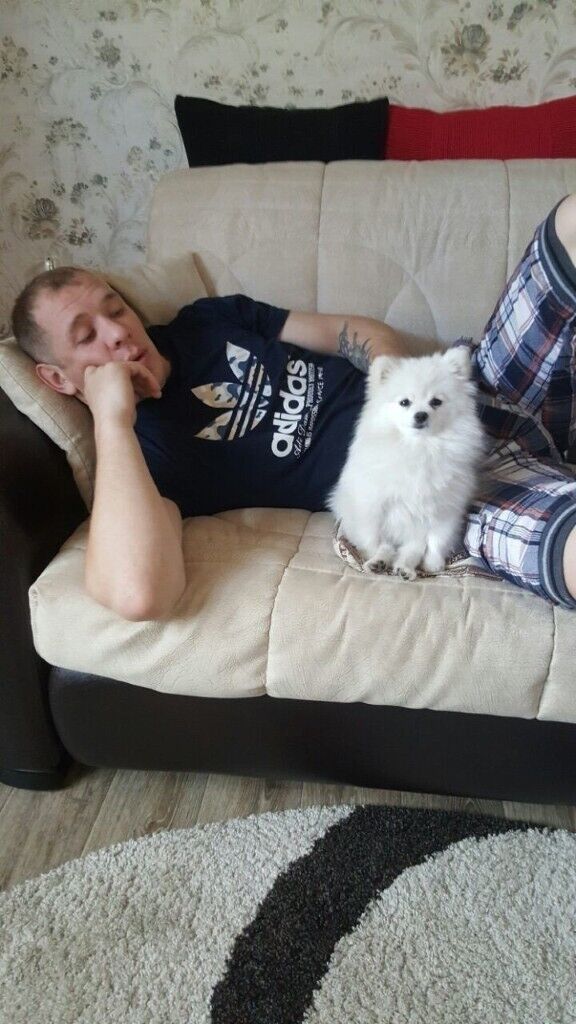 ���������� ���������, ���� ������� ���������, 37 ���, ������������ ��� ������, ����� � ���������