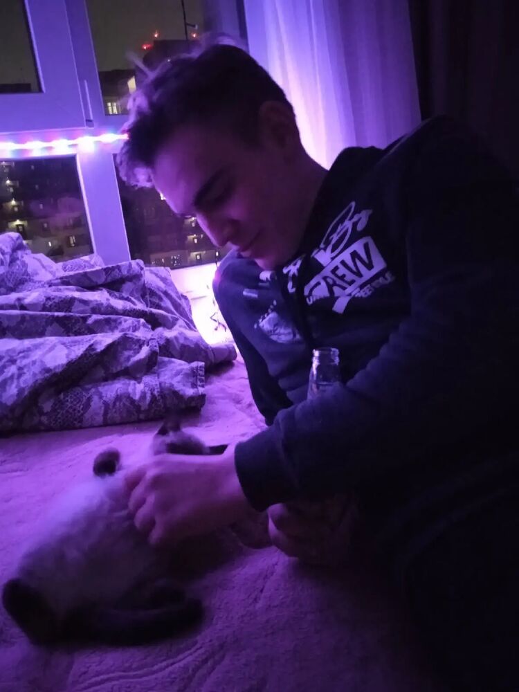 ���� 30918545 ����� ����, 25 ���, ���� ���������� � ��������