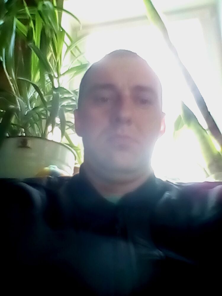  25504875  , 38 ,    