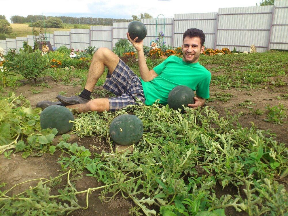 ���������� ������, ���� ������� �������, 40 ���, ������������ ��� ������, ����� � ���������