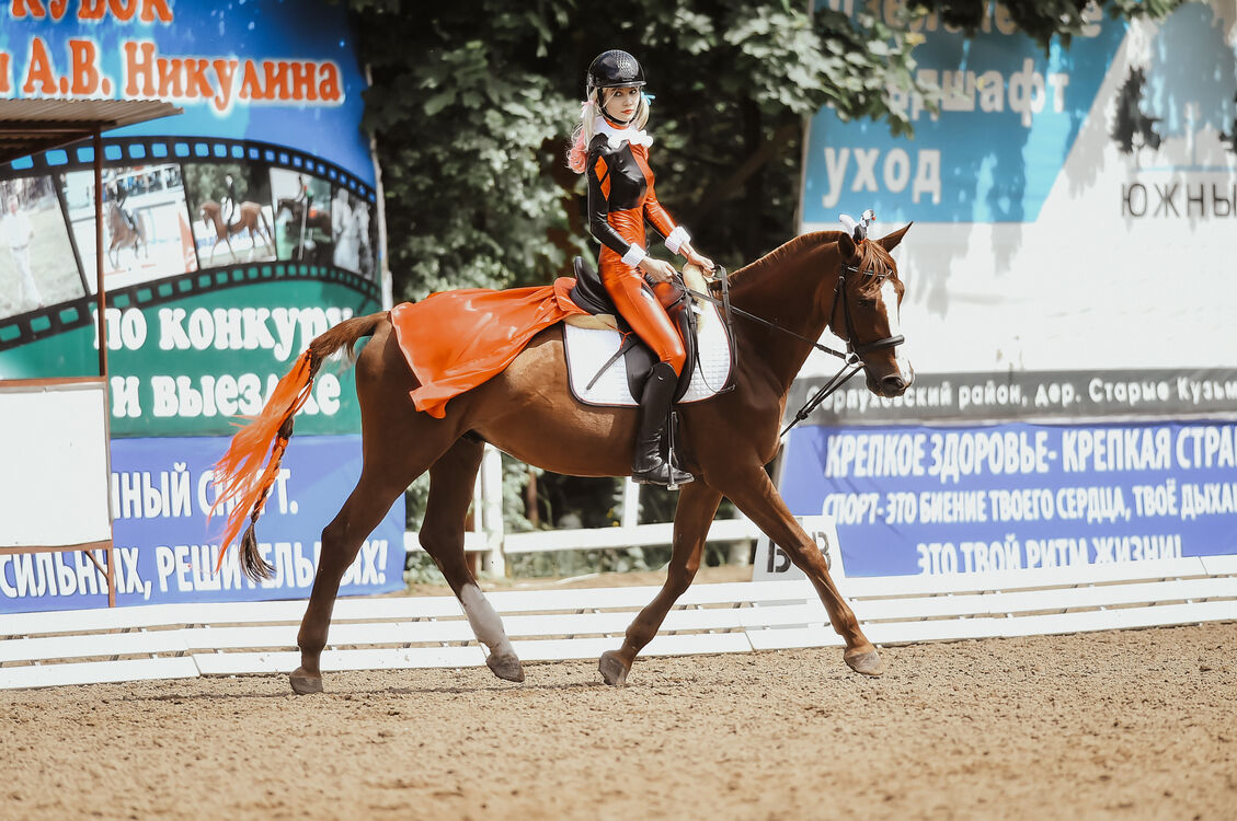 ���������� ������, ���� ������� ����, 27 ���, ������������ ��� ������, ����� � ���������