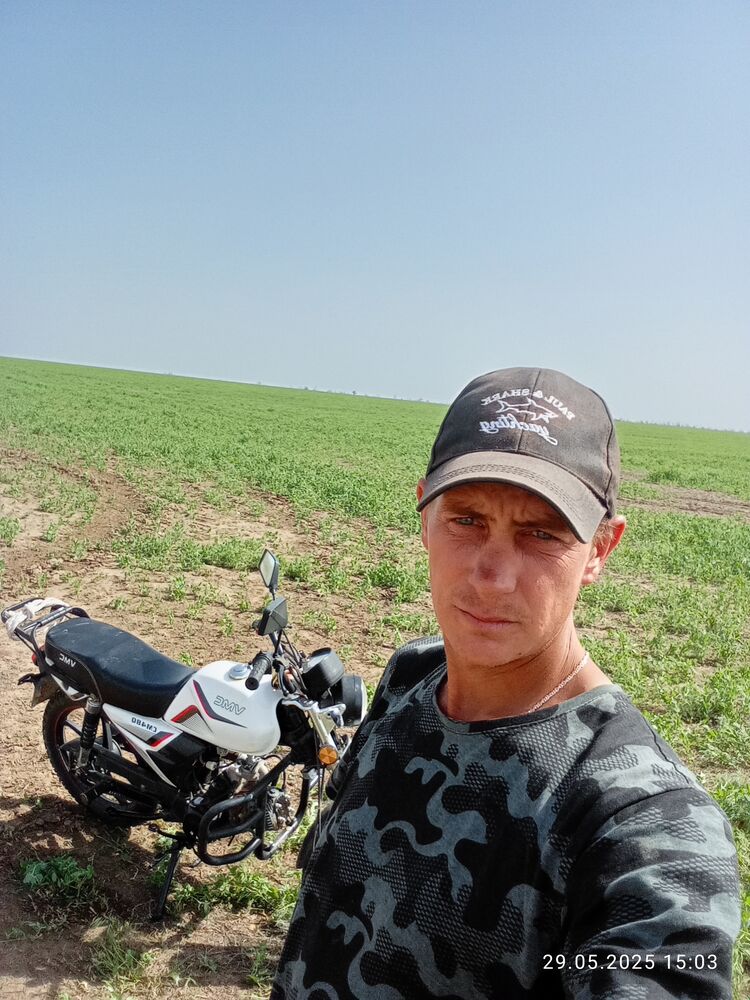  51911295  , 31 ,     
