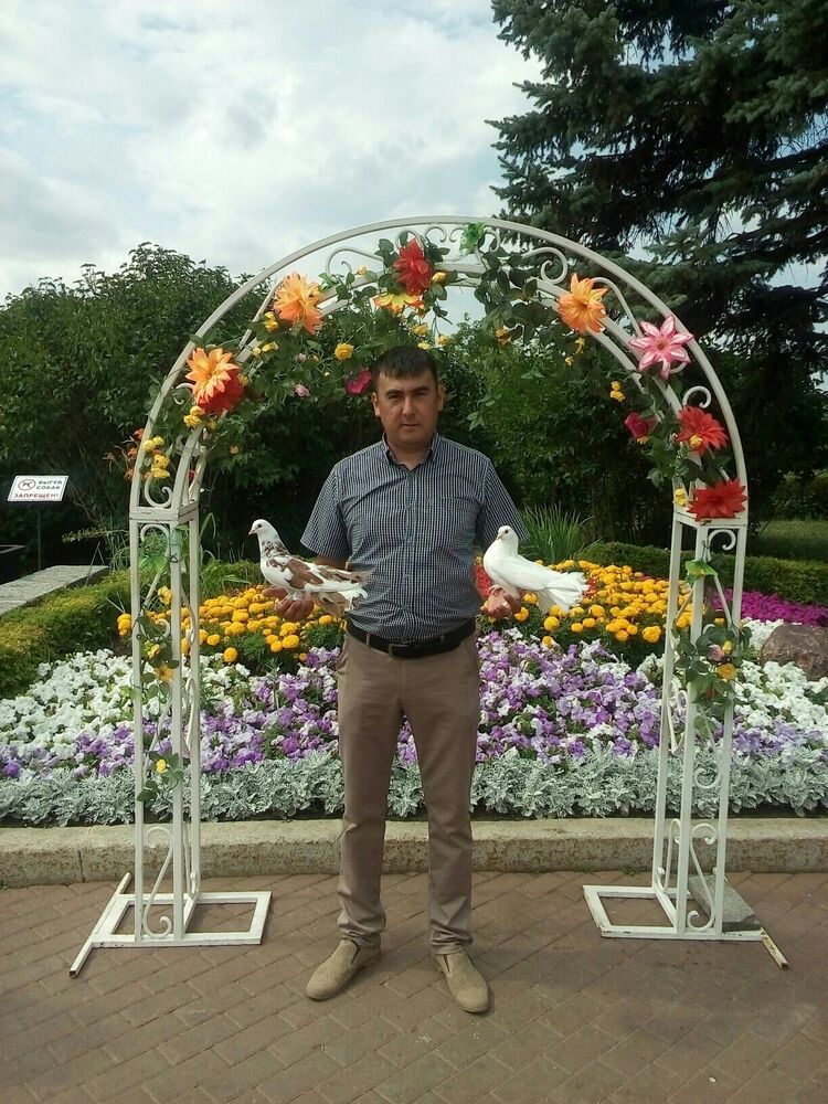  ,   , 45 ,   ,   