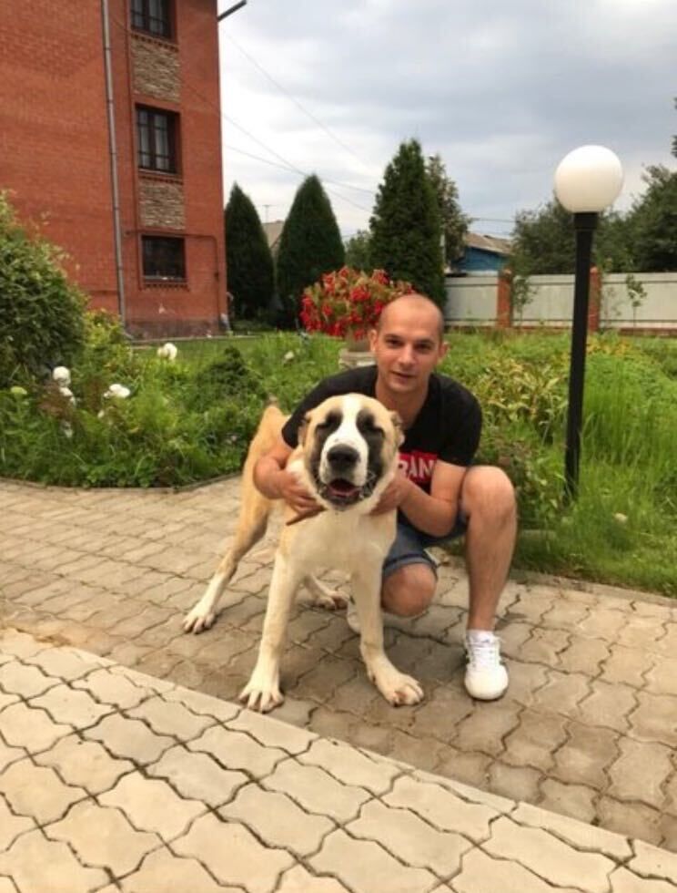 ���������� ������, ���� ������� ����, 41 ���, ������������ ��� ������, ����� � ���������