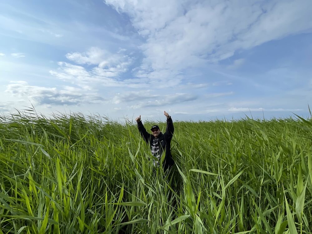 ���������� ���������, ���� ����� ���, 24 ����, ������������ ��� ������, ����� � ���������