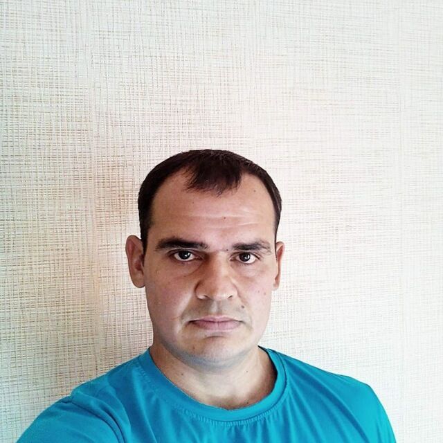  34617725  , 41 ,    