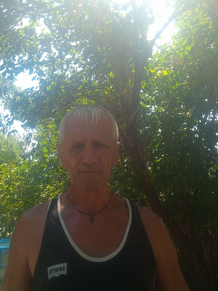  44728595  , 54 ,    