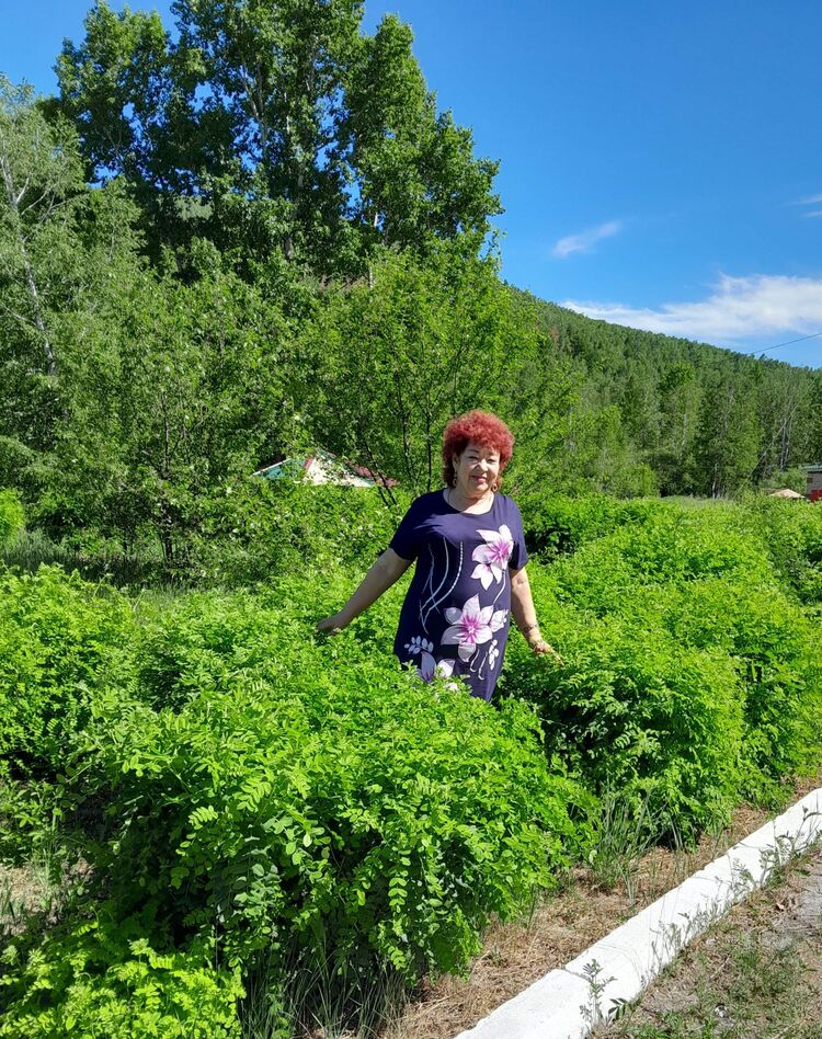 ���� 50149005 ������� �������, 69 ���, ���� ���������� � ��������