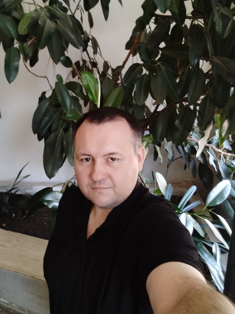 ���� 54648615 ������� �������, 36 ���, ���� ���������� � ���������