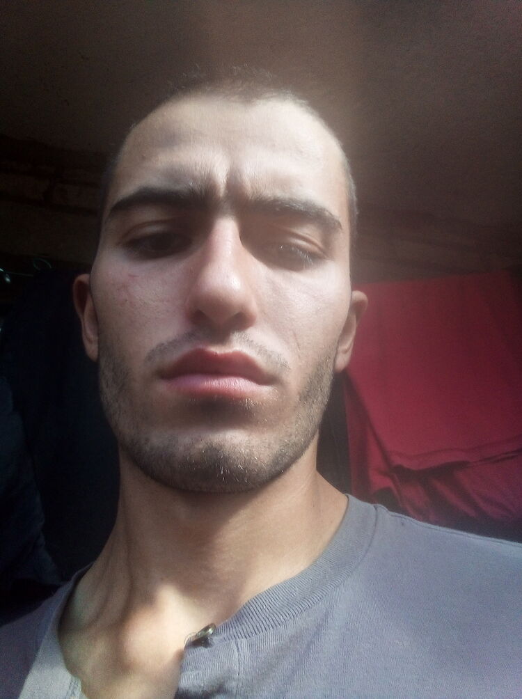  29295235  , 23 ,    