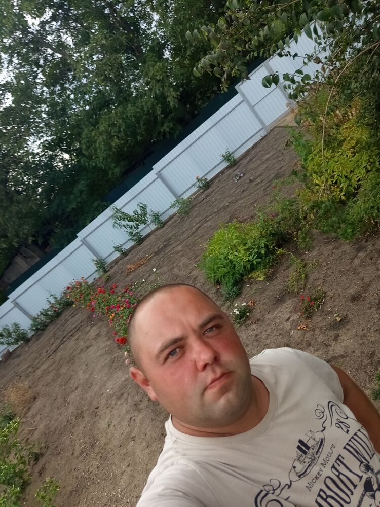  45869145  , 31 ,    