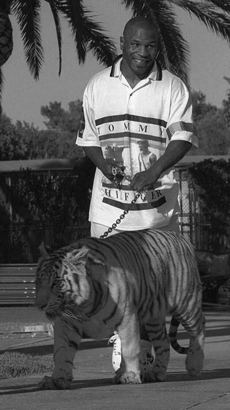 ���� 43554735 ����� Said, 20 ���, ���� ���������� � �������-��-����