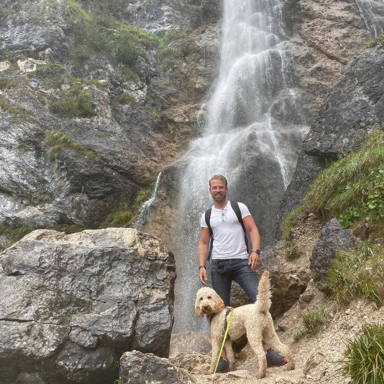 ���� 56009595 ������� ����, 31 ���, ���� ���������� � ������������