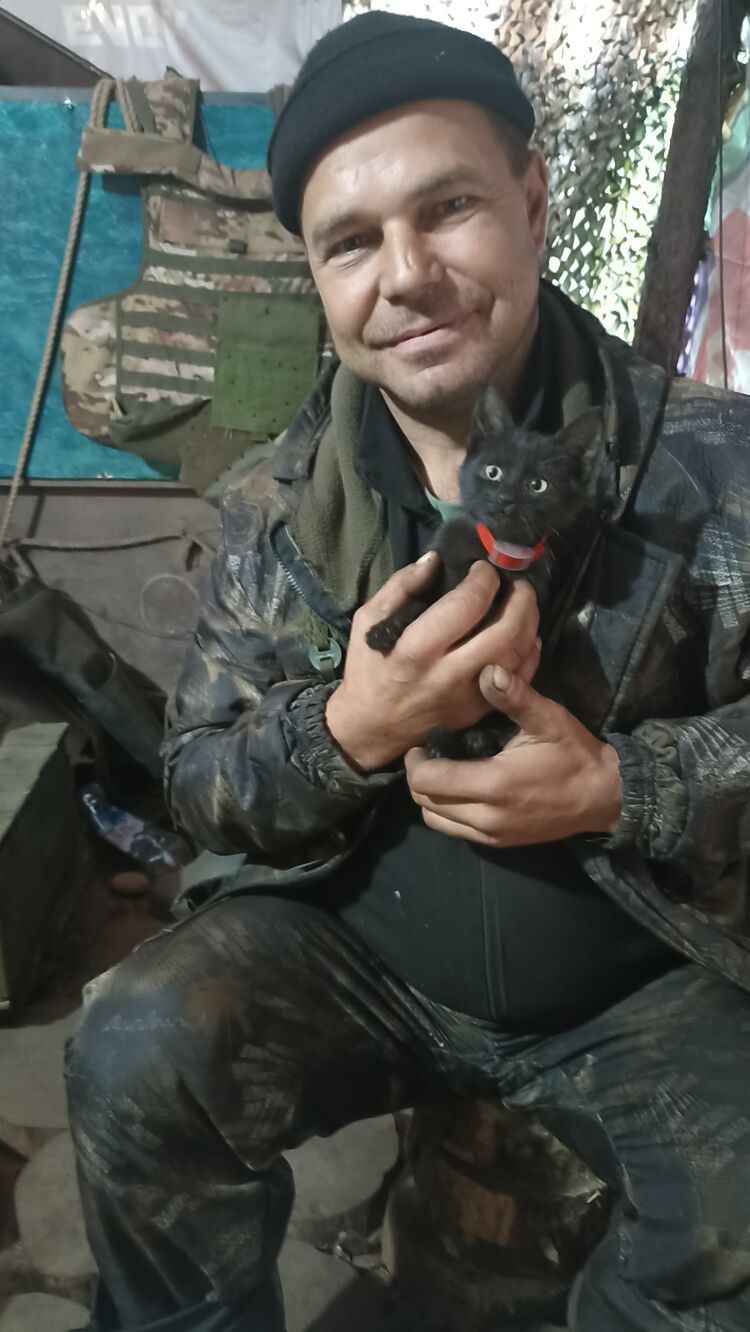 39803865  , 48 ,    