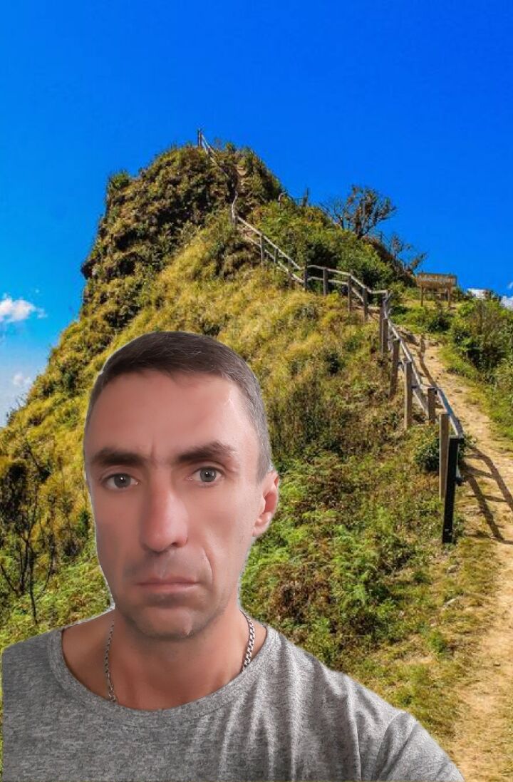  24564985  , 49 ,    