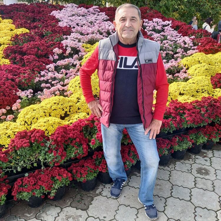  25060535  , 67 ,    