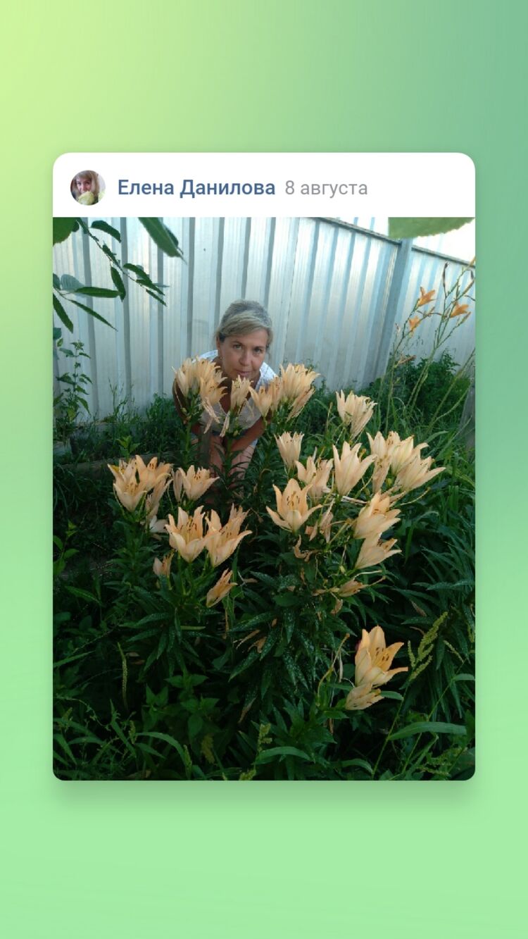 ���������� ������ ��������, ���� ������� �����, 47 ���, ������������ ��� ���������