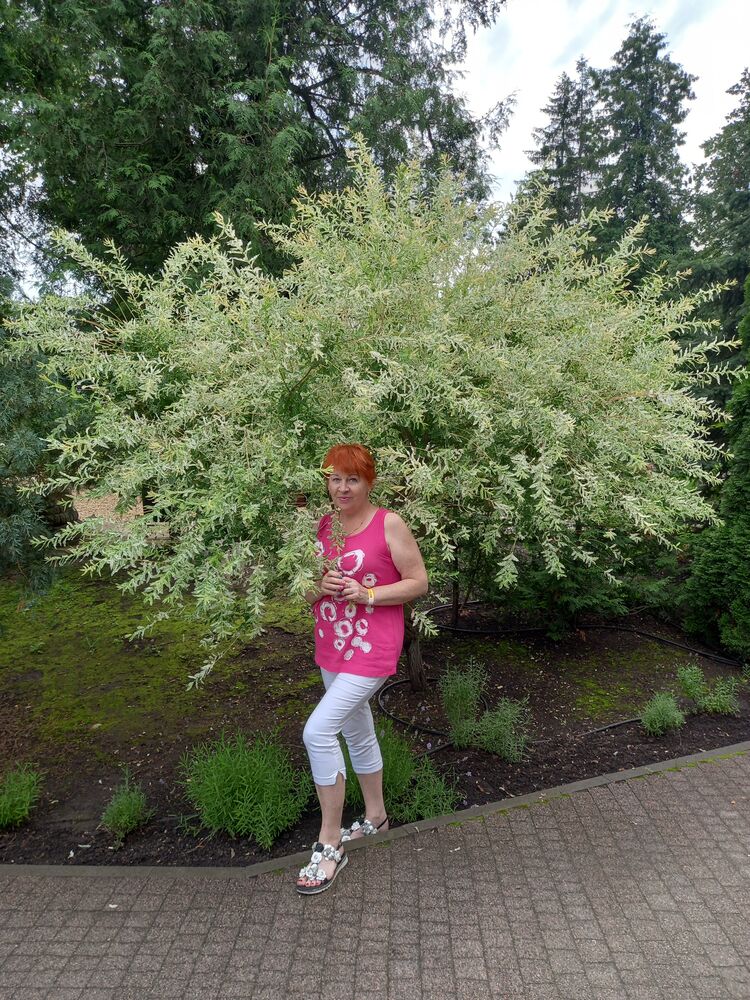 ���� 41708155 ������� ������, 60 ���, ���� ���������� � ������������