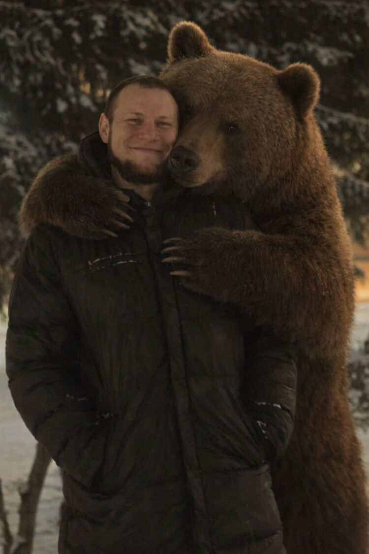 ���� 55239515 ������� �������, 36 ���, ���� ���������� � �����������