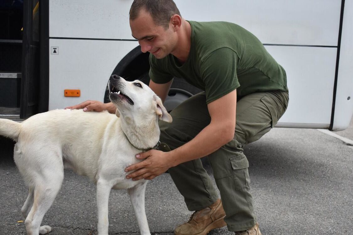 ���� 18423315 ������� ����, 34 ����, ���� ���������� � ������