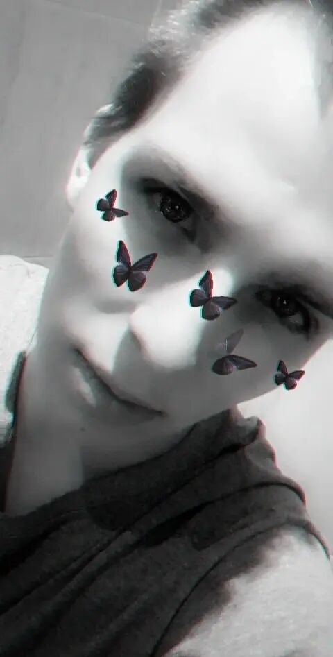 ���������� �������, ���� ����� �����, 24 ����, ������������ ��� ����� � ���������, c�������� ���������