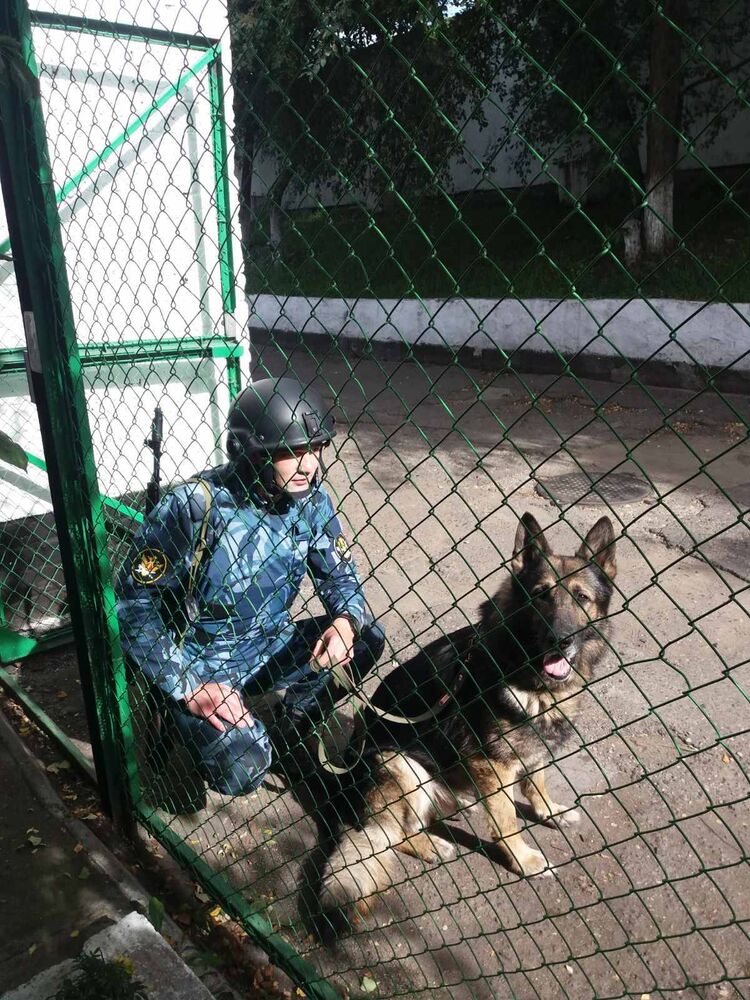  ,   Denis, 31 ,   ,   , c , 