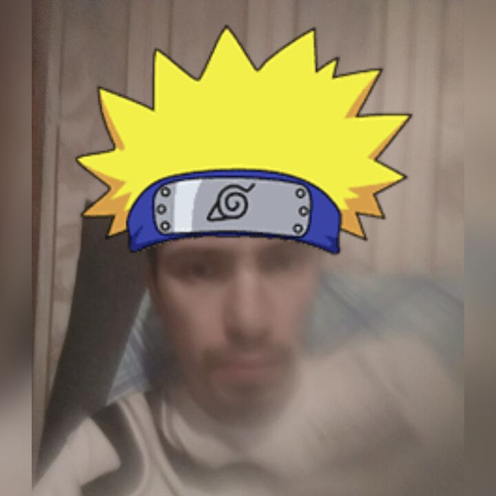 23098585  , 33 ,    