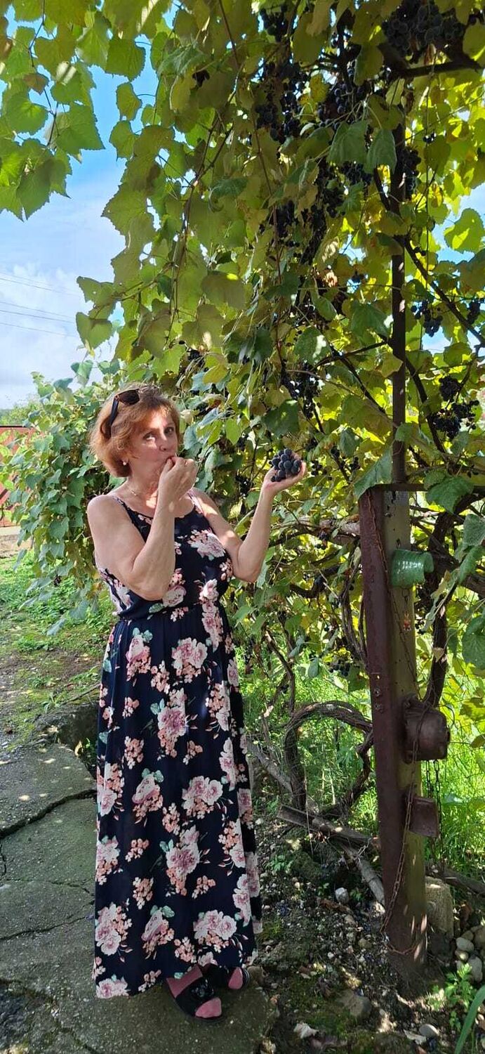 ���������� ����, ���� ������� �����, 60 ���, ������������ ��� ������, ����� � ���������