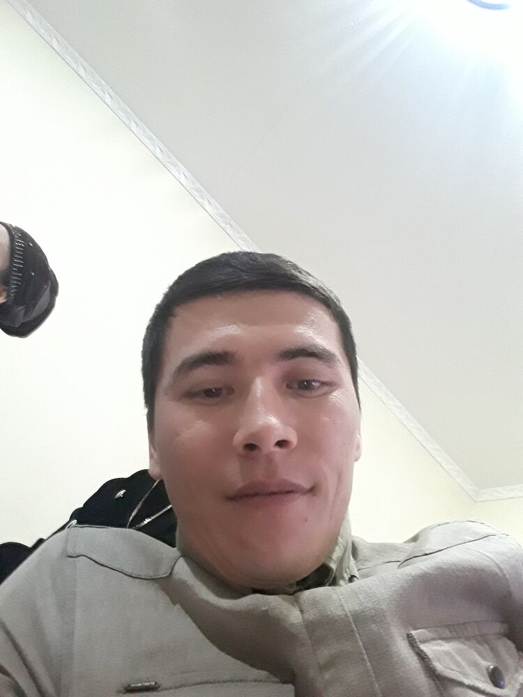 ���� 23594015 ������� �����, 33 ����, ���� ���������� � ���������