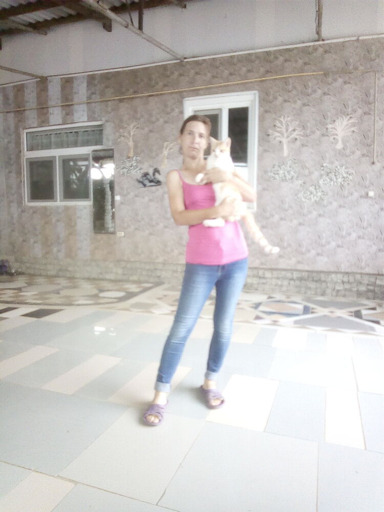  23805335  , 40 ,    